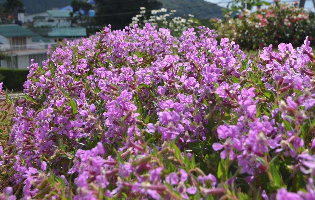 Thuring'S Holiday Bungalow Nuwara Eliya Esterno foto