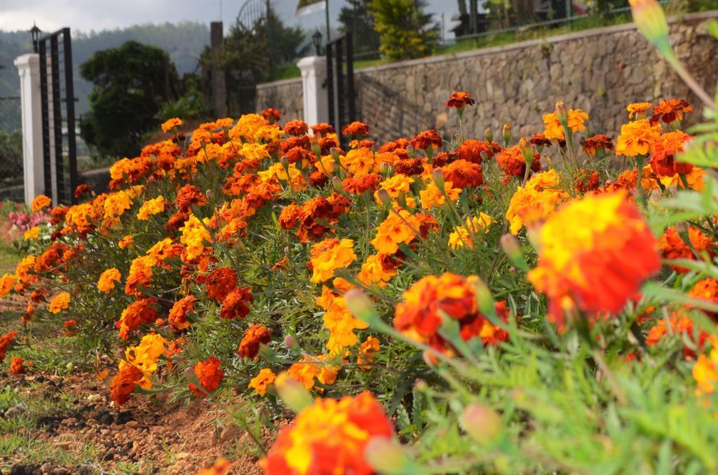 Thuring'S Holiday Bungalow Nuwara Eliya Esterno foto